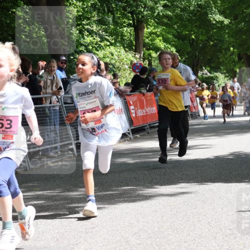 17.05.2025 - Störlauf Strokosch-Dieckow http://msf.ph/oto/7848017 17.05.2025 13:57:57 Ziel 2025, 463, 2025, 530, 629, 627 meine-sportfotos.de