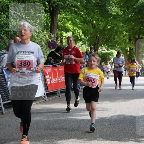 17.05.2025 - Störlauf Strokosch-Dieckow http://msf.ph/oto/7848109 17.05.2025 13:58:31 Ziel 527, 2025, 380, 657, 465, 635, 515 meine-sportfotos.de