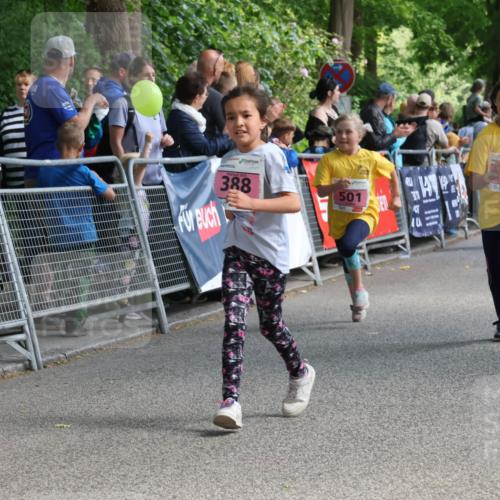17.05.2025 - Störlauf Strokosch-Dieckow http://msf.ph/oto/7848257 17.05.2025 13:59:49 Ziel 388, 501, 393, 11 meine-sportfotos.de