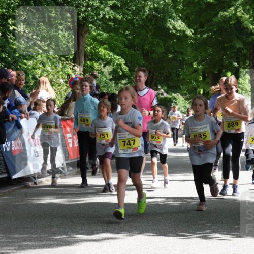 17.05.2025 - Störlauf Strokosch-Dieckow http://msf.ph/oto/7848952 17.05.2025 14:12:55 Ziel 849, 909, 751, 747, 803, 235, 889, 714 meine-sportfotos.de