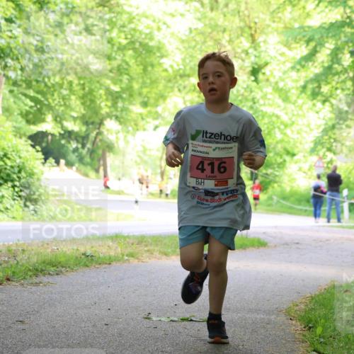 17.05.2025 - Störlauf Strokosch-Dieckow http://msf.ph/oto/7849047 17.05.2025 13:52:58 Laufen 2025, 416 meine-sportfotos.de