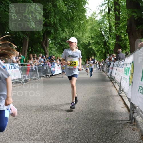 17.05.2025 - Störlauf Strokosch-Dieckow http://msf.ph/oto/7849182 17.05.2025 14:14:22 Ziel 109, 1214, 42 meine-sportfotos.de