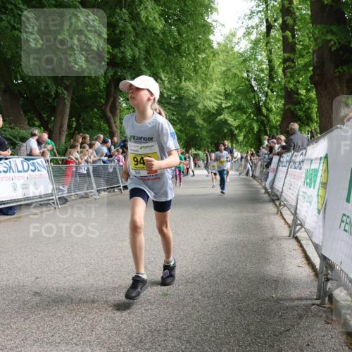 17.05.2025 - Störlauf Strokosch-Dieckow http://msf.ph/oto/7849185 17.05.2025 14:14:23 Ziel 94 meine-sportfotos.de