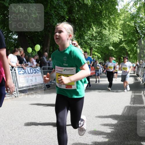17.05.2025 - Störlauf Strokosch-Dieckow http://msf.ph/oto/7849378 17.05.2025 14:16:29 Ziel 2025, 853, 852 meine-sportfotos.de