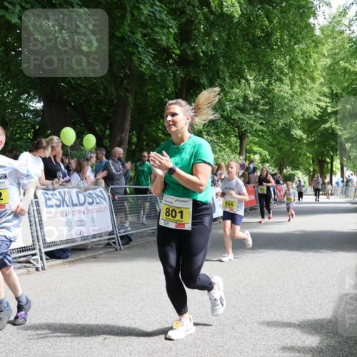 17.05.2025 - Störlauf Strokosch-Dieckow http://msf.ph/oto/7849392 17.05.2025 14:16:33 Ziel 782, 801, 966 meine-sportfotos.de