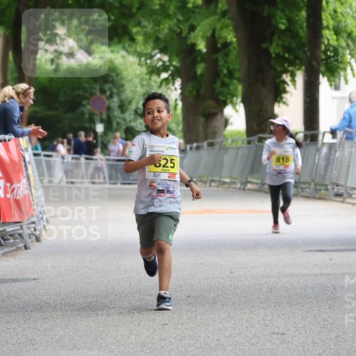 17.05.2025 - Störlauf Strokosch-Dieckow http://msf.ph/oto/7849453 17.05.2025 14:18:01 Ziel 17, 25524, 625, 818 meine-sportfotos.de