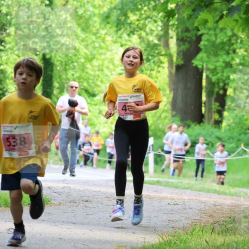 17.05.2025 - Störlauf Strokosch-Dieckow http://msf.ph/oto/7849504 17.05.2025 13:54:50 Laufen 538 meine-sportfotos.de