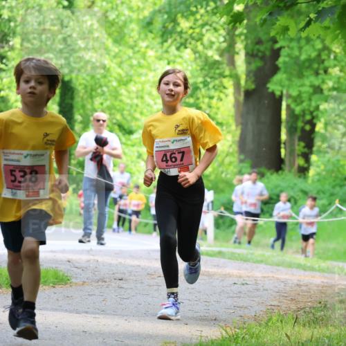 17.05.2025 - Störlauf Strokosch-Dieckow http://msf.ph/oto/7849512 17.05.2025 13:54:50 Laufen 538, 2025, 467 meine-sportfotos.de