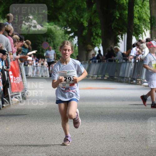17.05.2025 - Störlauf Strokosch-Dieckow http://msf.ph/oto/7849640 17.05.2025 14:38:08 Ziel 40, 2025, 293, 78 meine-sportfotos.de