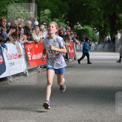 17.05.2025 - Störlauf Strokosch-Dieckow http://msf.ph/oto/7849643 17.05.2025 14:38:10 Ziel 129 meine-sportfotos.de