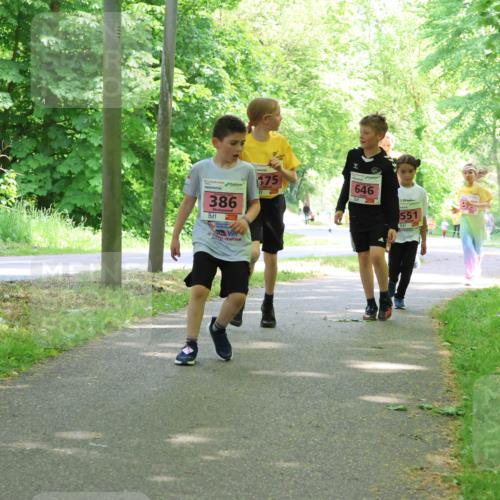 17.05.2025 - Störlauf Strokosch-Dieckow http://msf.ph/oto/7849677 17.05.2025 13:55:31 Laufen 386, 75, 646, 551 meine-sportfotos.de
