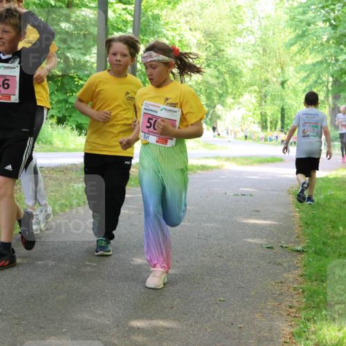 17.05.2025 - Störlauf Strokosch-Dieckow http://msf.ph/oto/7849690 17.05.2025 13:55:35 Laufen 646, 50, 15100 meine-sportfotos.de