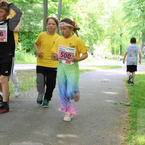 17.05.2025 - Störlauf Strokosch-Dieckow http://msf.ph/oto/7849692 17.05.2025 13:55:35 Laufen 646, 2025, 17, 0, 500 meine-sportfotos.de