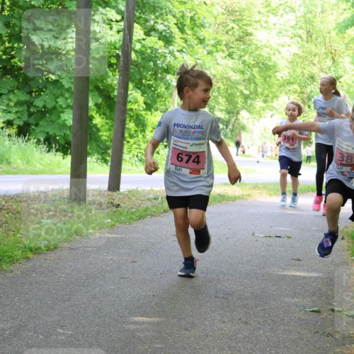 17.05.2025 - Störlauf Strokosch-Dieckow http://msf.ph/oto/7849702 17.05.2025 13:55:39 Laufen 25, 674, 391, 386 meine-sportfotos.de