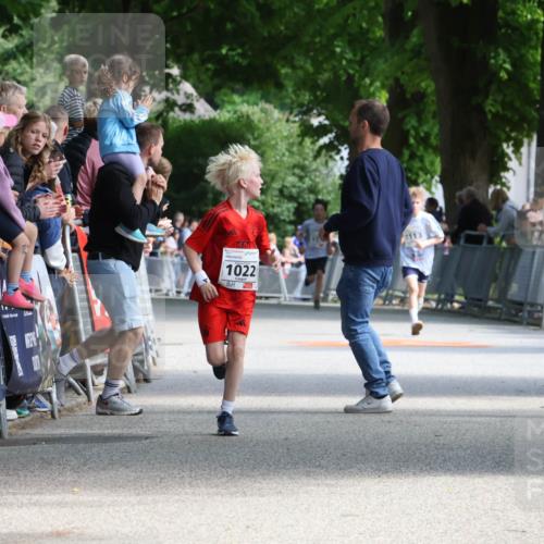 17.05.2025 - Störlauf Strokosch-Dieckow http://msf.ph/oto/7849738 17.05.2025 14:39:44 Ziel 1022 meine-sportfotos.de