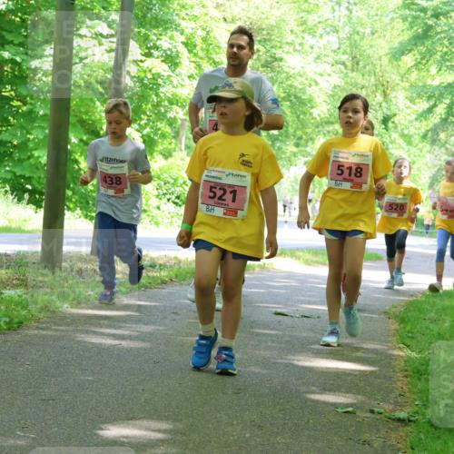 17.05.2025 - Störlauf Strokosch-Dieckow http://msf.ph/oto/7849879 17.05.2025 13:56:22 Laufen 438, 521, 2025, 518, 520 meine-sportfotos.de