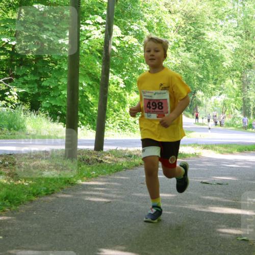 17.05.2025 - Störlauf Strokosch-Dieckow http://msf.ph/oto/7849908 17.05.2025 13:56:29 Laufen 498 meine-sportfotos.de