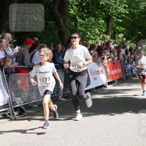 17.05.2025 - Störlauf Strokosch-Dieckow http://msf.ph/oto/7849915 17.05.2025 14:41:34 Ziel 0000, 1277, 1536, 1555, 1094, 1620 meine-sportfotos.de
