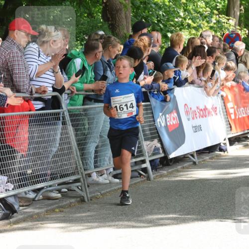 17.05.2025 - Störlauf Strokosch-Dieckow http://msf.ph/oto/7849963 17.05.2025 14:41:52 Ziel 1614, 0 meine-sportfotos.de