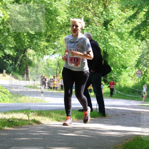 17.05.2025 - Störlauf Strokosch-Dieckow http://msf.ph/oto/7850037 17.05.2025 13:57:13 Laufen 613 meine-sportfotos.de