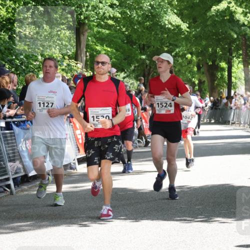 17.05.2025 - Störlauf Strokosch-Dieckow http://msf.ph/oto/7850038 17.05.2025 14:42:30 Ziel 1127, 1520, 18, 1, 1524, 1042 meine-sportfotos.de