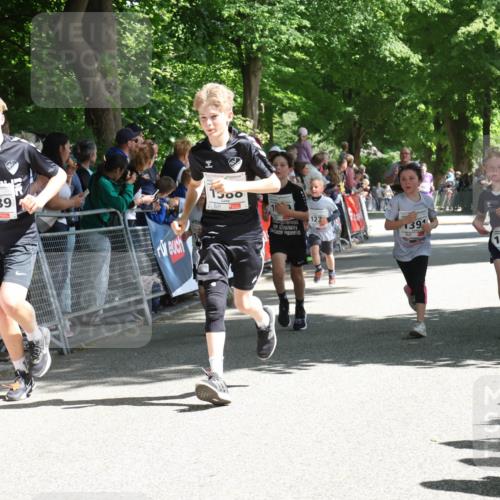 17.05.2025 - Störlauf Strokosch-Dieckow http://msf.ph/oto/7850085 17.05.2025 14:42:53 Ziel 1589, 1500, 122, 1391, 1248 meine-sportfotos.de