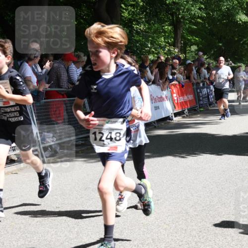 17.05.2025 - Störlauf Strokosch-Dieckow http://msf.ph/oto/7850095 17.05.2025 14:42:55 Ziel 103, 2025, 1248, 1116 meine-sportfotos.de