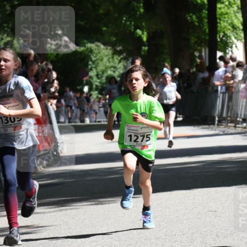 17.05.2025 - Störlauf Strokosch-Dieckow http://msf.ph/oto/7850131 17.05.2025 14:43:09 Ziel 1302, 1275 meine-sportfotos.de