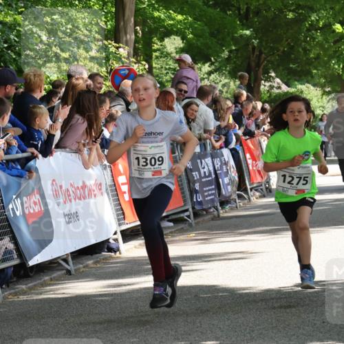 17.05.2025 - Störlauf Strokosch-Dieckow http://msf.ph/oto/7850133 17.05.2025 14:43:10 Ziel 1309, 1275, 104 meine-sportfotos.de