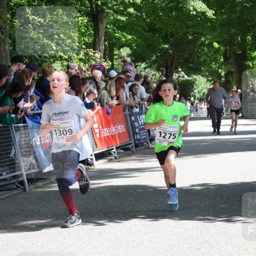 17.05.2025 - Störlauf Strokosch-Dieckow http://msf.ph/oto/7850136 17.05.2025 14:43:11 Ziel 3, 1309, 1275, 104 meine-sportfotos.de
