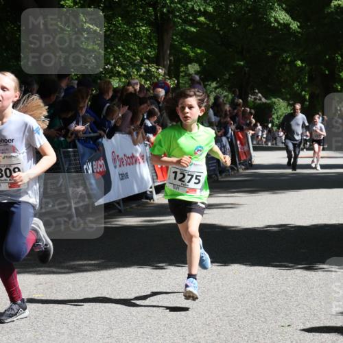 17.05.2025 - Störlauf Strokosch-Dieckow http://msf.ph/oto/7850138 17.05.2025 14:43:12 Ziel 2025, 1309, 1275 meine-sportfotos.de