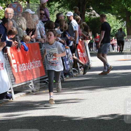 17.05.2025 - Störlauf Strokosch-Dieckow http://msf.ph/oto/7850192 17.05.2025 14:43:44 Ziel 139 meine-sportfotos.de