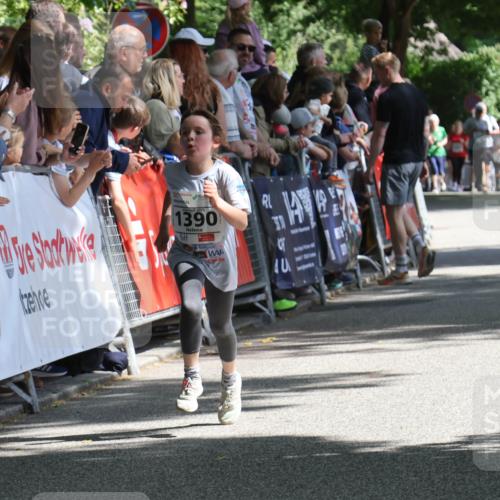 17.05.2025 - Störlauf Strokosch-Dieckow http://msf.ph/oto/7850194 17.05.2025 14:43:44 Ziel 2025, 1390, 72, 455, 40 meine-sportfotos.de