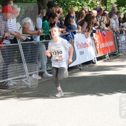 17.05.2025 - Störlauf Strokosch-Dieckow http://msf.ph/oto/7850198 17.05.2025 14:43:46 Ziel 2025, 1390 meine-sportfotos.de