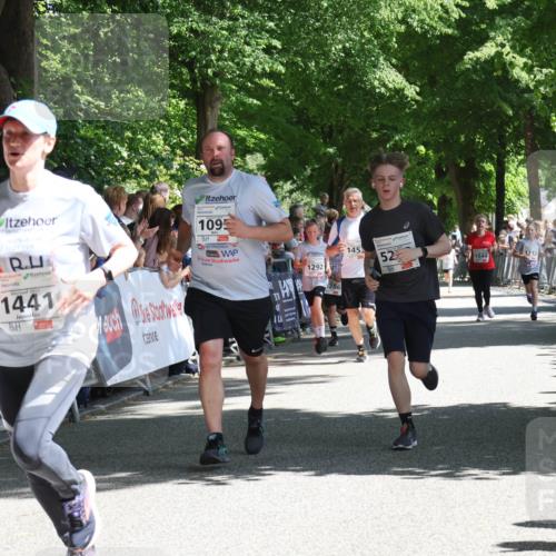 17.05.2025 - Störlauf Strokosch-Dieckow http://msf.ph/oto/7850213 17.05.2025 14:44:02 Ziel 2025, 1441, 1095, 1292, 286, 145, 52, 1544, 1212 meine-sportfotos.de