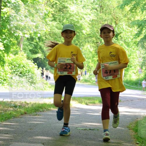 17.05.2025 - Störlauf Strokosch-Dieckow http://msf.ph/oto/7850254 17.05.2025 13:58:38 Laufen 22, 471, 436 meine-sportfotos.de