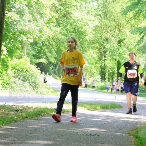 17.05.2025 - Störlauf Strokosch-Dieckow http://msf.ph/oto/7850258 17.05.2025 13:58:43 Laufen 528, 436, 480, 376 meine-sportfotos.de
