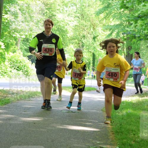 17.05.2025 - Störlauf Strokosch-Dieckow http://msf.ph/oto/7850270 17.05.2025 13:58:46 Laufen 436, 84, 376, 480, 479, 594 meine-sportfotos.de