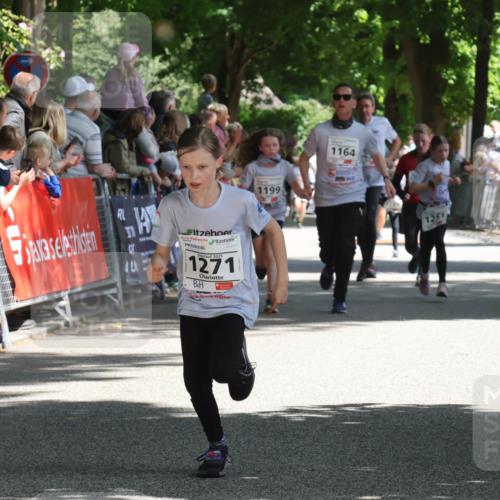 17.05.2025 - Störlauf Strokosch-Dieckow http://msf.ph/oto/7850303 17.05.2025 14:44:34 Ziel 40, 2025, 1271, 1199, 1164 meine-sportfotos.de