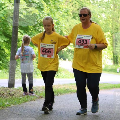 17.05.2025 - Störlauf Strokosch-Dieckow http://msf.ph/oto/7850382 17.05.2025 13:59:51 Laufen 466, 2025, 493, 476 meine-sportfotos.de