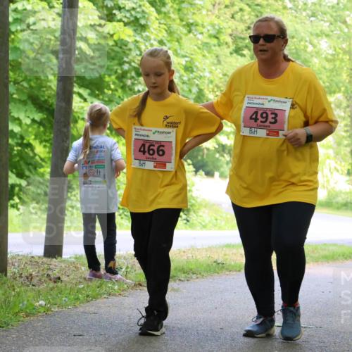 17.05.2025 - Störlauf Strokosch-Dieckow http://msf.ph/oto/7850384 17.05.2025 13:59:52 Laufen 2025, 493, 466, 476 meine-sportfotos.de