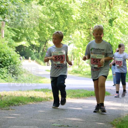 17.05.2025 - Störlauf Strokosch-Dieckow http://msf.ph/oto/7850400 17.05.2025 14:00:00 Laufen 559, 2025, 561, 417 meine-sportfotos.de