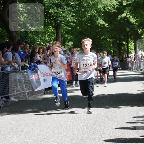17.05.2025 - Störlauf Strokosch-Dieckow http://msf.ph/oto/7850514 17.05.2025 14:46:24 Ziel 1245, 151, 1244, 1045, 1173 meine-sportfotos.de