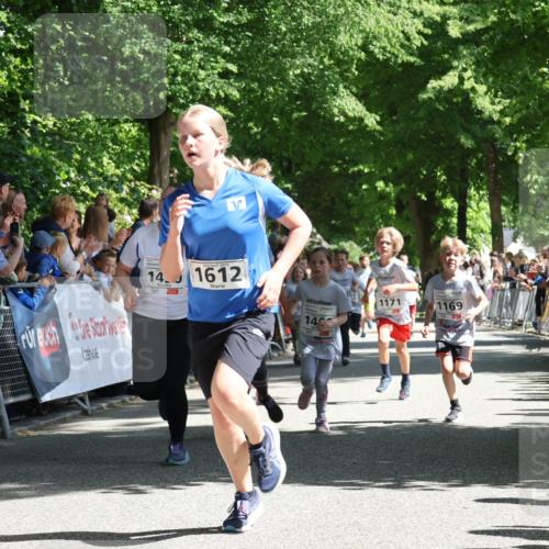 17.05.2025 - Störlauf Strokosch-Dieckow http://msf.ph/oto/7850559 17.05.2025 14:46:46 Ziel 2025, 14, 1612, 1171, 1169, 14 meine-sportfotos.de