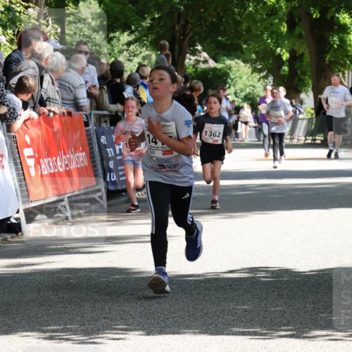 17.05.2025 - Störlauf Strokosch-Dieckow http://msf.ph/oto/7850667 17.05.2025 14:48:09 Ziel 1362, 4, 104 meine-sportfotos.de
