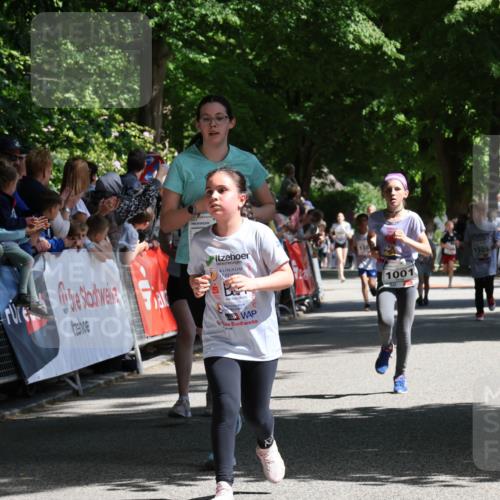 17.05.2025 - Störlauf Strokosch-Dieckow http://msf.ph/oto/7850819 17.05.2025 14:49:33 Ziel 1001, 1305 meine-sportfotos.de