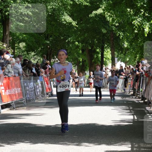 17.05.2025 - Störlauf Strokosch-Dieckow http://msf.ph/oto/7850824 17.05.2025 14:49:34 Ziel 4, 1001, 1082, 159, 1305, 1189 meine-sportfotos.de