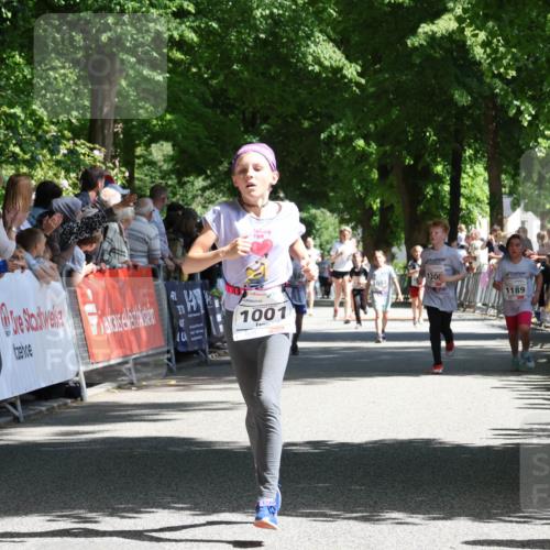 17.05.2025 - Störlauf Strokosch-Dieckow http://msf.ph/oto/7850825 17.05.2025 14:49:34 Ziel 1001, 130, 082, 1189 meine-sportfotos.de