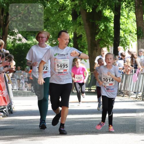 17.05.2025 - Störlauf Strokosch-Dieckow http://msf.ph/oto/7850861 17.05.2025 14:49:58 Ziel 25524, 72, 1495, 1262, 15, 1014 meine-sportfotos.de