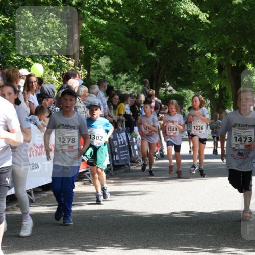 17.05.2025 - Störlauf Strokosch-Dieckow http://msf.ph/oto/7850888 17.05.2025 14:50:20 Ziel 1298, 1302, 1278, 1236, 4258, 145, 1243, 1473 meine-sportfotos.de